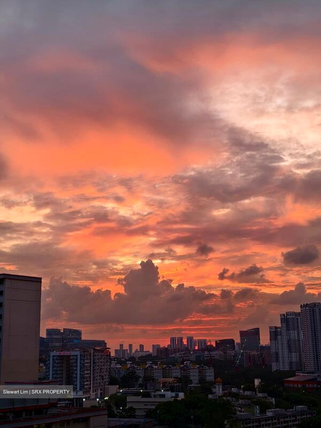 Commonwealth Towers (D3), Condominium #507113581